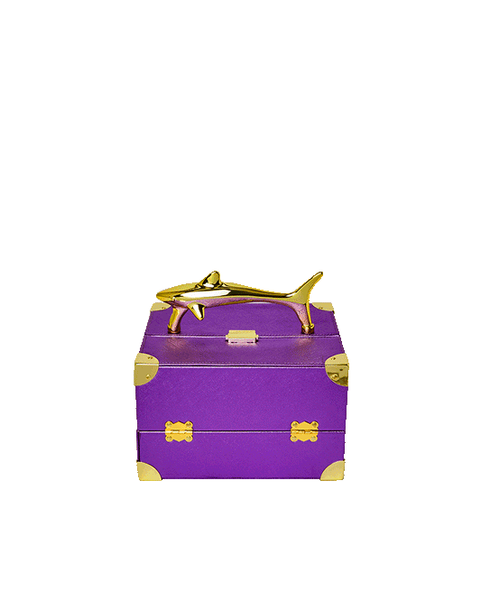 SHARKS OF THE GOLD OCEAN JEWELRY CASE | Sprayground US
