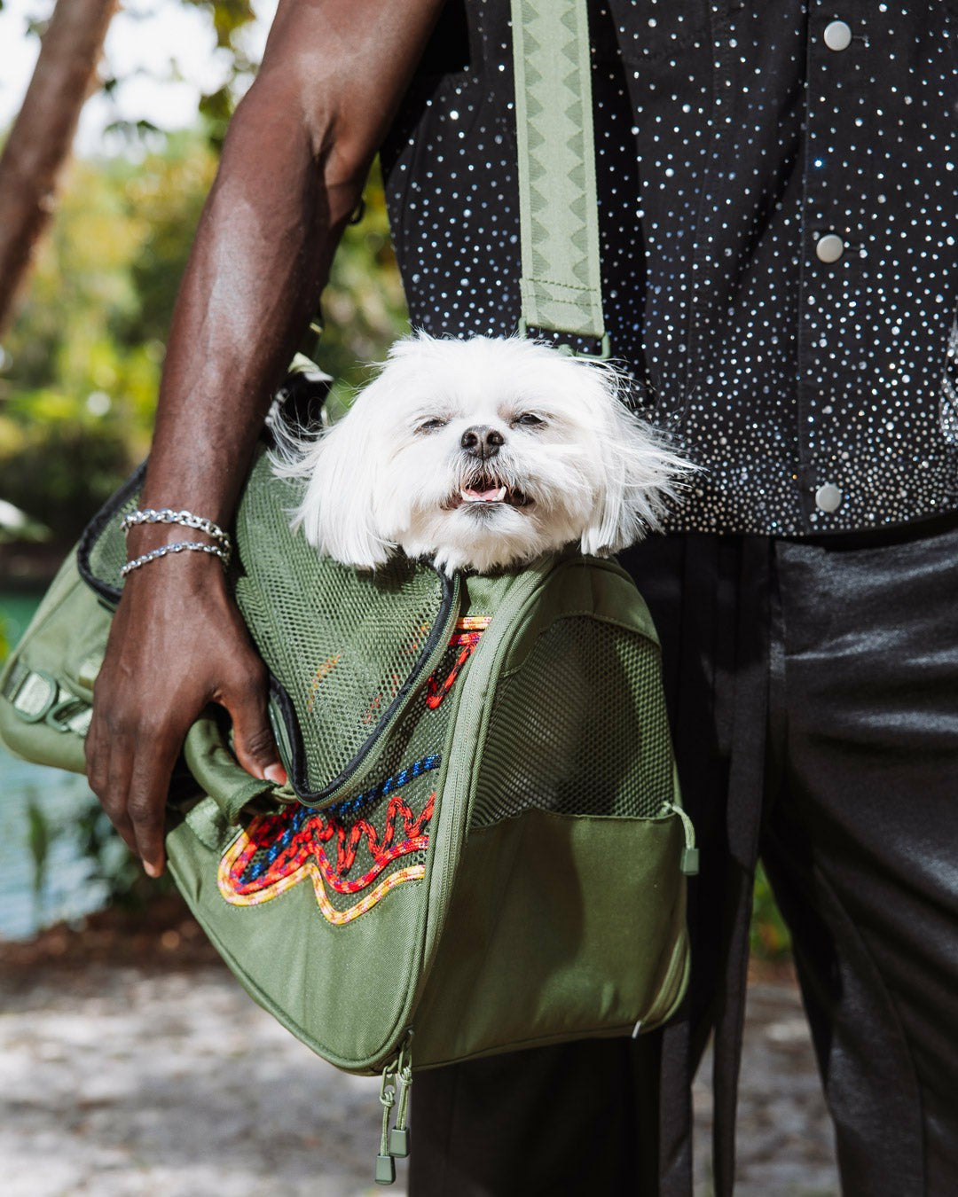 WON'T STOP TILL THE TOP PET CARRIER | Sprayground US