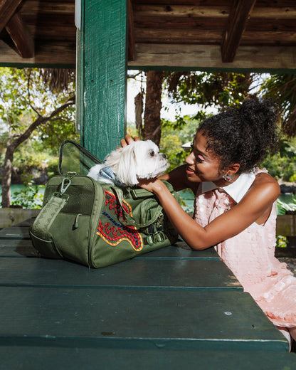 WON'T STOP TILL THE TOP PET CARRIER | Sprayground US