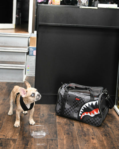 3AM PET CARRIER | Sprayground sale