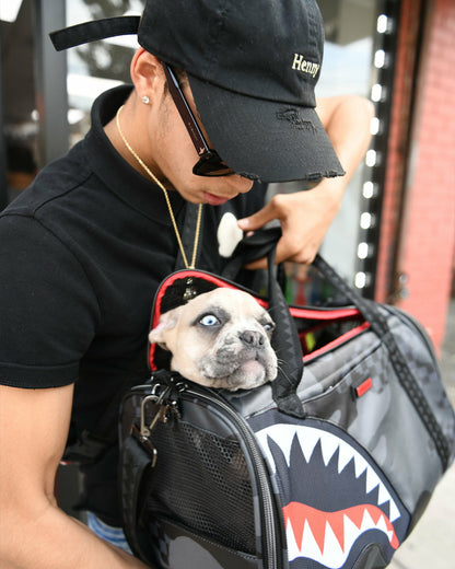 3AM PET CARRIER | Sprayground sale