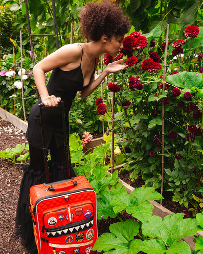 THE GLOBAL EXPEDITION JETSETTER CARRY-ON LUGGAGE | Sprayground for sale