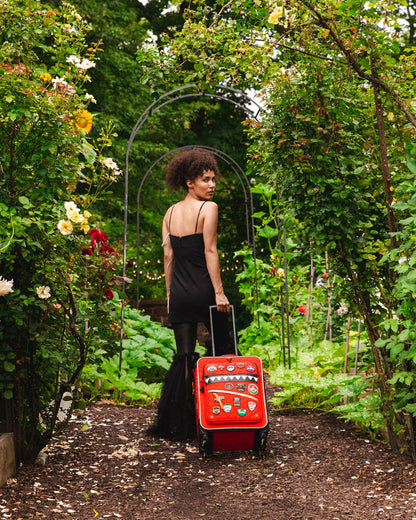 THE GLOBAL EXPEDITION JETSETTER CARRY-ON LUGGAGE | Sprayground for sale