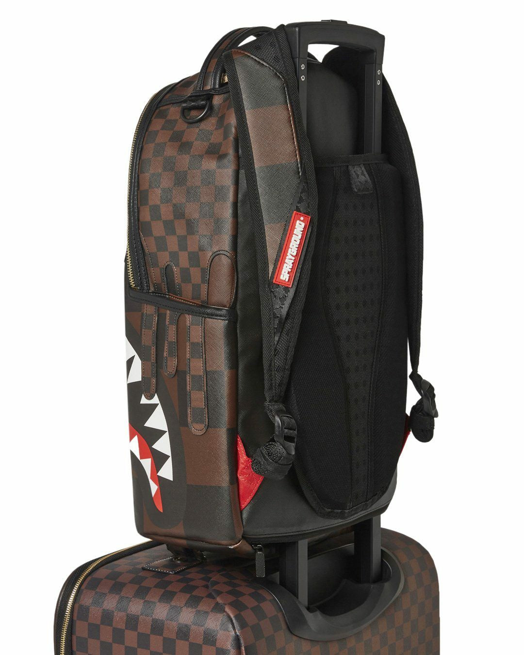 XTC SHARKS IN PARIS JETSETTER CARRY-ON LUGGAGE | Sprayground Near Me