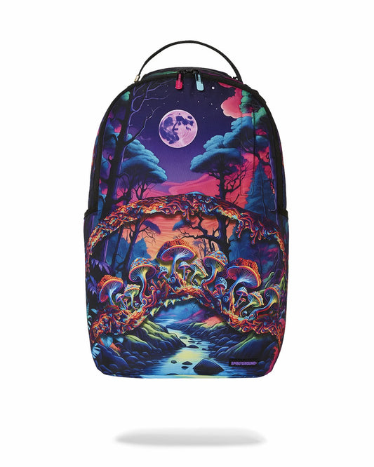 EARTHING DLXR BACKPACK | Sprayground for sale