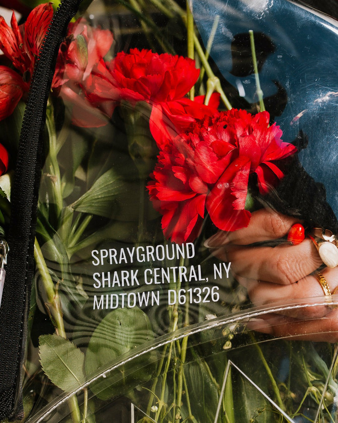 100% CLEAR BACKPACK - SHARK CENTRAL | Sprayground Clearance