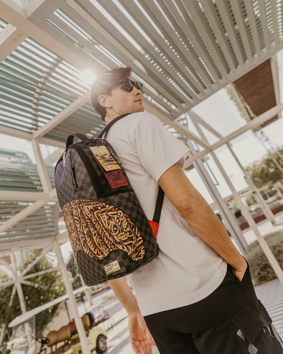 DIAA ALLAM SEEKING PERFECTION 001 BACKPACK | Sprayground Online